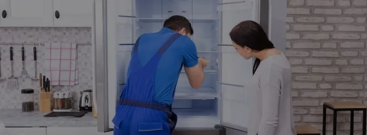 Ремонт холодильников V-ZUG